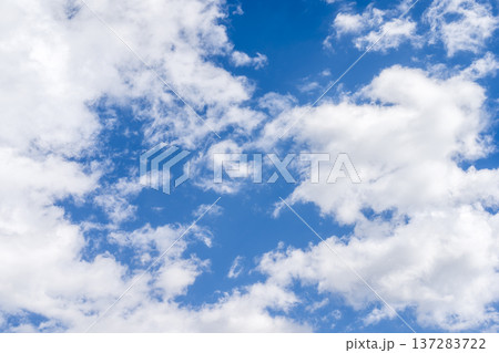 春の空 青空 空 晴れ 春 3月 【神奈川県 厚木市】 137283722