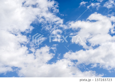 春の空 青空 空 晴れ 春 3月 【神奈川県 厚木市】 137283723