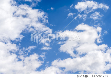 春の空 青空 空 晴れ 春 3月 【神奈川県 厚木市】 137283725