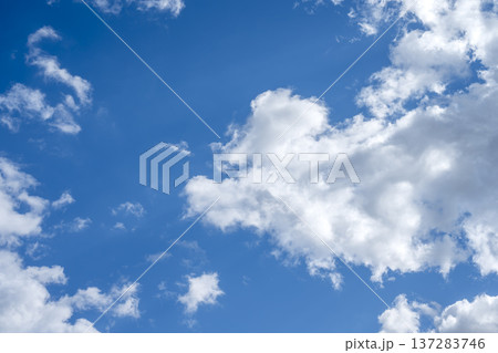 春の空 青空 空 晴れ 春 3月 【神奈川県 厚木市】 137283746