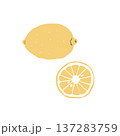 レモンのイラスト素材（丸ごとと断面） 137283759