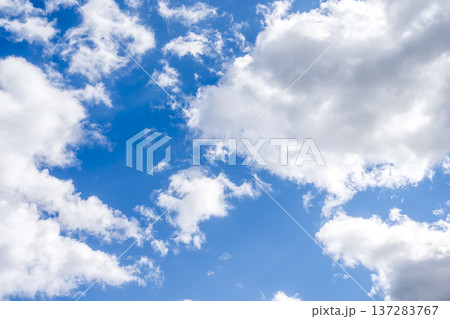 春の空 青空 空 晴れ 春 3月 【神奈川県 厚木市】 137283767