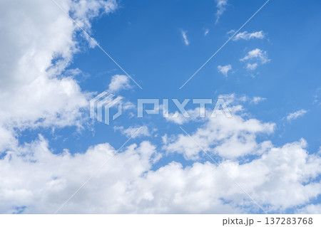 春の空 青空 空 晴れ 春 3月 【神奈川県 厚木市】 春の空 青空 空 晴れ 春 3月 【神奈川県 厚木市】 137283768