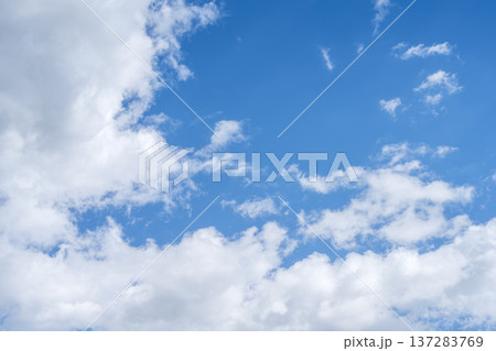 春の空 青空 空 晴れ 春 3月 【神奈川県 厚木市】 137283769