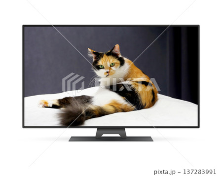 Smart tv with tricolor cat on screen, isolated on white background Smart tv with tricolor cat on screen, isolated on white background 137283991