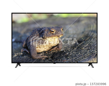 Modern Smart TV with toad on screen 137283996