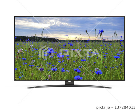 TV with cornflowers field on screen isolated on white background 137284013