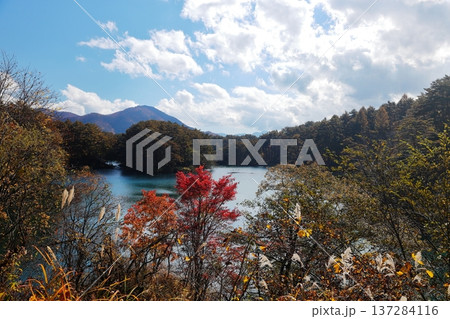 裏磐梯五色沼　紅葉　毘沙門沼 137284116