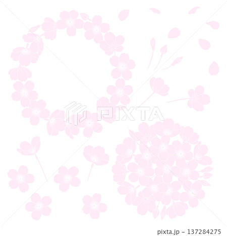 白地に描いた桜の花のフレームやパーツのイラスト 137284275