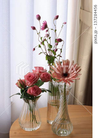 ピンク色の花々 ピンク色の花々 137284456