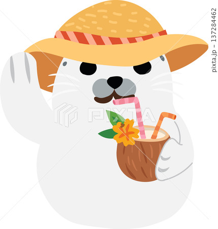 kawaii baby seal with coconut drink relaxing on tropical beach summer vacation cartoon animal illustration 137284462