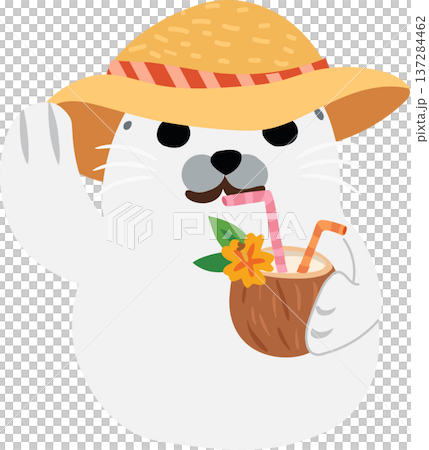 kawaii baby seal with coconut drink relaxing on tropical beach summer vacation cartoon animal illustration 137284462