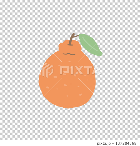 デコポン（柑橘）のイラスト素材 137284569