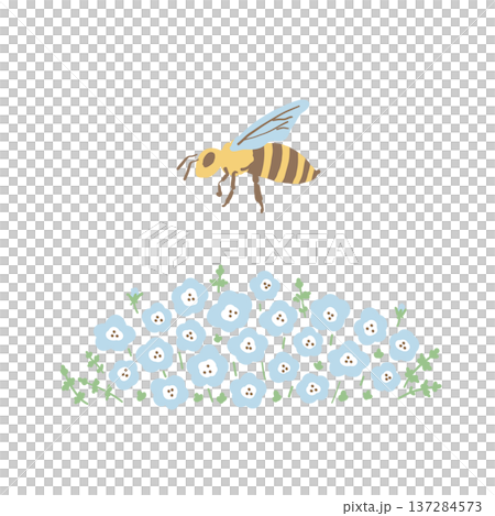 ネモフィラとミツバチの春イラスト素材 137284573