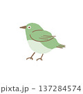 メジロのイラスト素材（春の小鳥） 137284574