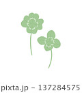 四葉のクローバーのイラスト素材（幸運のシンボル） 137284575