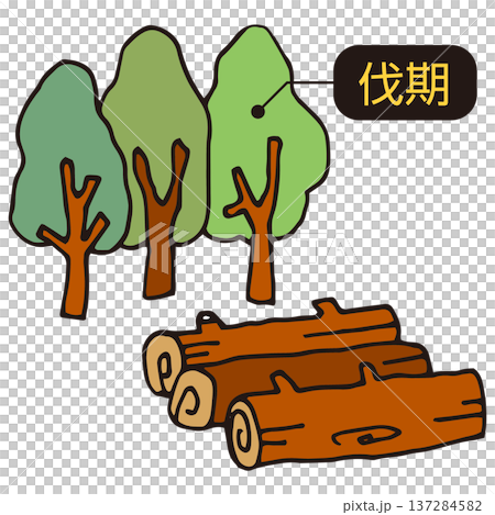 伐期の林木 137284582
