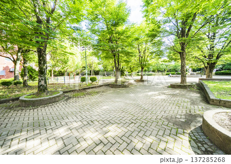 春日部市 中央町第4公園 春日部市 中央町第4公園 137285268