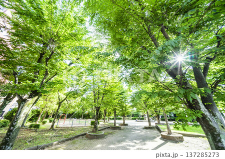 春日部市　中央町第4公園 137285273