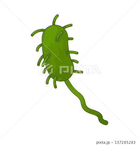 Illustration of bacteria 137285283