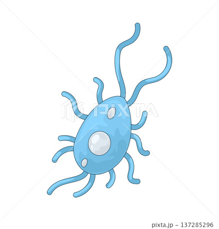 Illustration of Bacteria 137285296