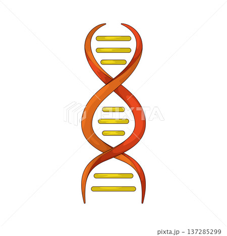 Illustration of DNA Helix Illustration of DNA Helix 137285299