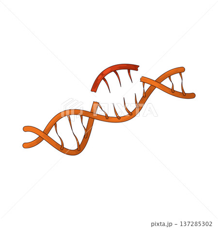 Illustration of gene mutation 137285302
