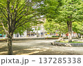 春日部市　中央町第4公園 137285338