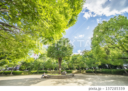 春日部市　中央町第4公園 137285339