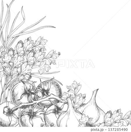 Frame of garlic, tomatoes, parsley, black pepper and green onion. Vector ink handmade elements. For packaging design, cards, cover, prints, product labels and fabric. 137285490