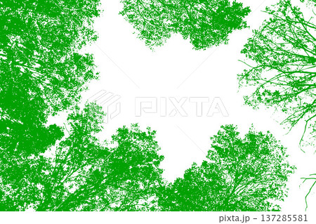 木のシルエット 137285581