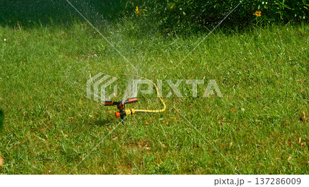 Irrigation.Sprinkler watering greenery,hot day in city park Irrigation.Sprinkler watering greenery,hot day in city park 137286009