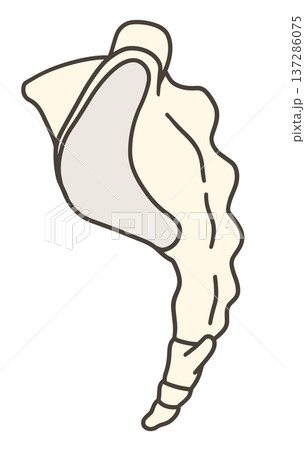 仙骨の側面の解剖学的イラスト 137286075