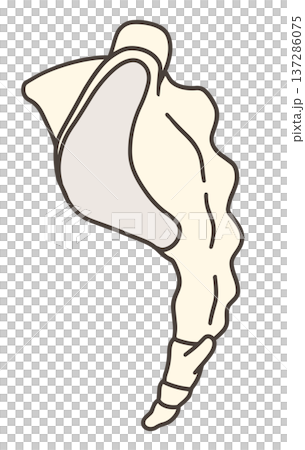 仙骨の側面の解剖学的イラスト 137286075