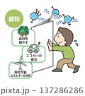 気候変動に対して緩和する 137286286