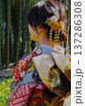 着物　春　油彩　B 137286308