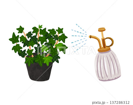 霧吹きミストとアイビー（へデラ）の鉢植え　水彩風手描きイラスト 137286312