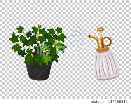 霧吹きミストとアイビー（へデラ）の鉢植え　水彩風手描きイラスト 137286312