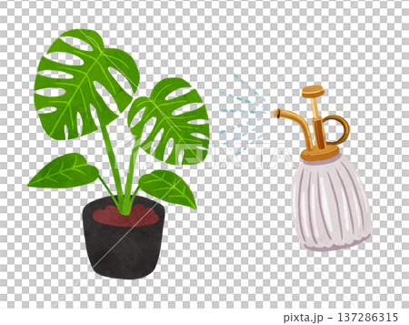 噴霧器和盆栽龜背竹水彩手繪插圖 137286315