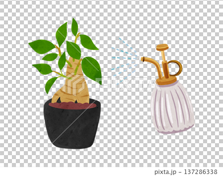 霧吹きミストとガジュマルの鉢植え　水彩風手描きイラスト 137286338