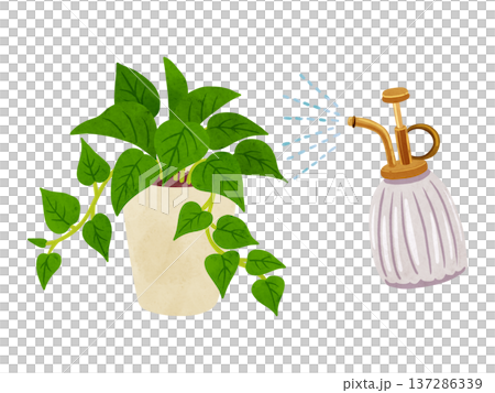 噴霧器和盆栽綠蘿－水彩手繪插圖 137286339