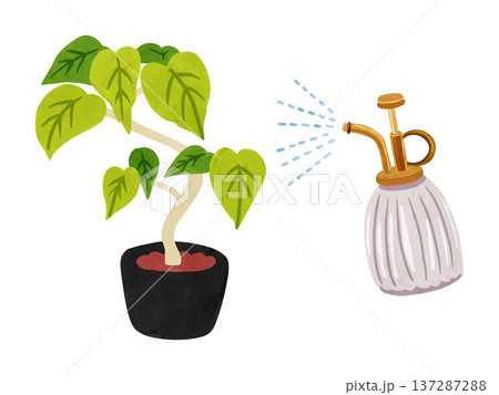 霧吹きミストフィカス・ウンベラータの鉢植え 水彩風手描きイラスト 霧吹きミストフィカス・ウンベラータの鉢植え 水彩風手描きイラスト 137287288