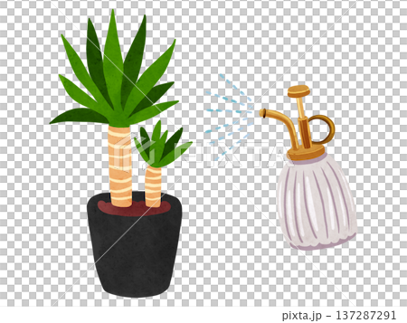 Mist spray and potted yucca - watercolor hand-drawn illustration Mist spray and potted yucca - watercolor hand-drawn illustration 137287291