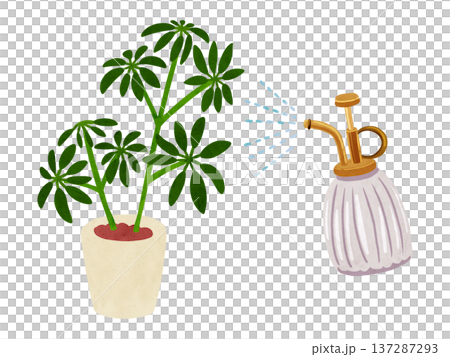 霧吹きミストとシェフレラの鉢植え　水彩風手描きイラスト 137287293