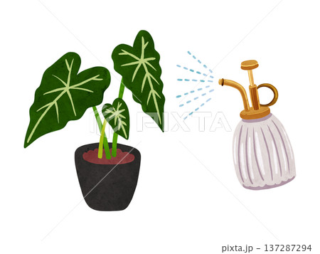 霧吹きミストとアロカシア・グリーンベルベットの鉢植え　水彩風手描きイラスト 137287294
