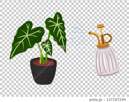 噴霧器和盆栽綠絨芋——水彩手繪插圖 137287294