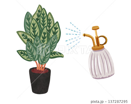 霧吹きミストとカラテア・マコヤナの鉢植え　水彩風手描きイラスト 137287295