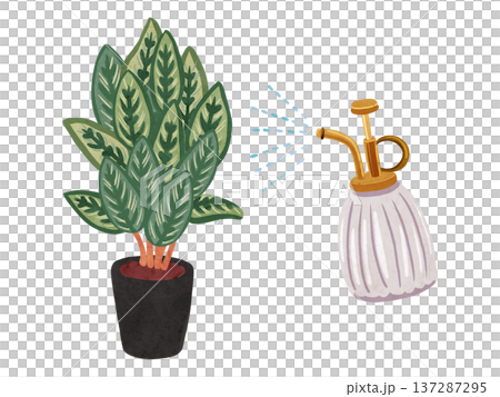 霧吹きミストとカラテア・マコヤナの鉢植え　水彩風手描きイラスト 137287295