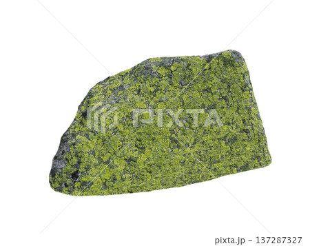 stone covered with moss isolated on white background 137287327