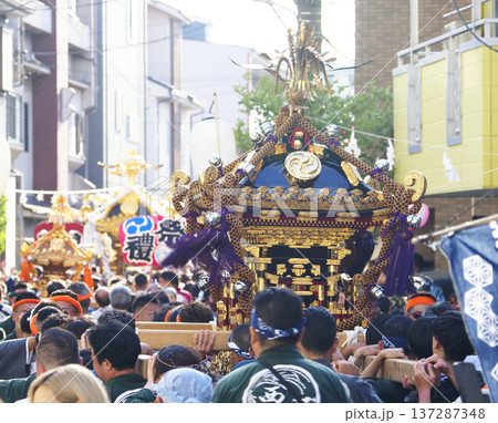 浦安三社祭2024 137287348